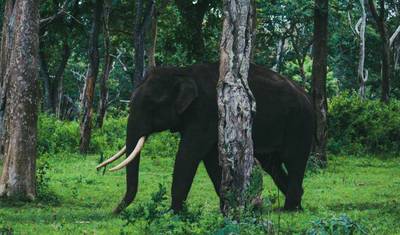 Kerala Tour Package — 3