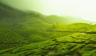 Kerala Tour Package — 2