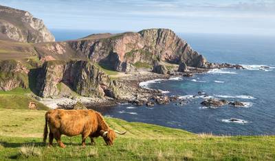 Essential Scotland — 4