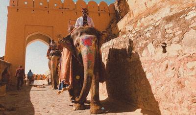 8 Day Golden Triangle Tour with Rajasthan — 4