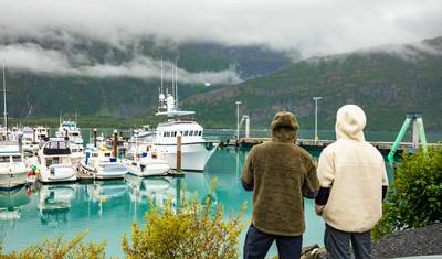 Alaska Glacier Singles Cruise — 4