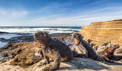 18 Day Highlights Of Peru With Galapagos Premium Small Group Tour — 2