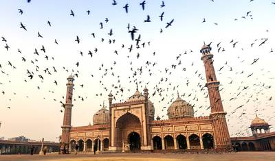 Índia: Taj Mahal, Safári de Tigres e Santuário de Pássaros Com Refeições — 4