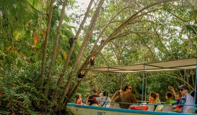 عطلة قصيرة في Manuel Antonio – مغامرة وطبيعة (6 أيام / 5 ليالٍ) — 3