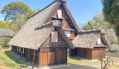 7 Days Kyoto & Osaka Hidden Nature Tour (private guide and driver）Family Tour - Customizable — 2