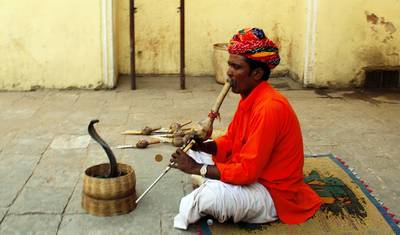11 Day Exotic Rajasthan Tour - Colors Camels & Culture — 4