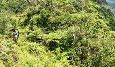 Fiji: Trilhas, Rafting e Snorkel — 5