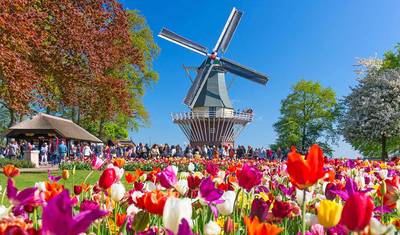 Windmills, Tulips & Belgian Delights with Amsterdam 2027 - 10 Days — 5