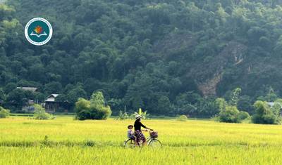Essence of Vietnam: 13-Day Private Luxury Experience — 2