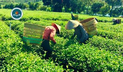 Essence of Vietnam: 13-Day Private Luxury Experience — 3