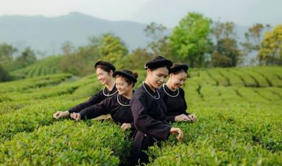 Essence of Vietnam: 13-Day Private Luxury Experience — 5