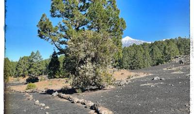 Tenerife: Island beyond the beaten path — 4