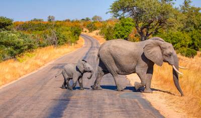 Upgraded - Best of South Africa — 3