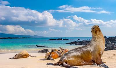 Bolivia, Peru & Ecuador with Galápagos : The Spirit of the Andes & Islands — 2