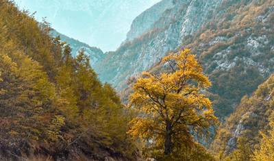 アルバニアアルプス、Shala River、Valbona National Park、Prizren、Kosova 4日間ツアー — 5