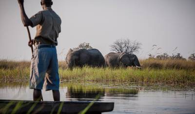Private Botswana Nat Geo Untouched Safaris – 13 Days — 4