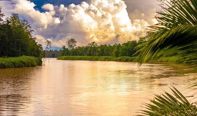 Family Borneo Wildlife Adventure — 5