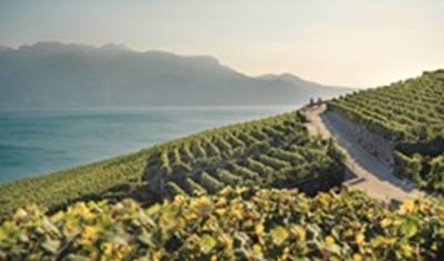 Cycling holidays Rhone-Route Oberwald/Obergesteln - Geneva — 3