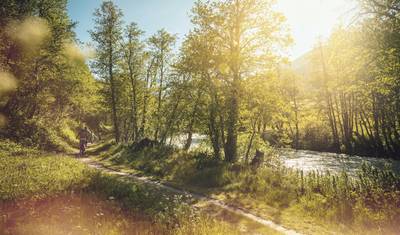Cycling holidays Rhone-Route Oberwald/Obergesteln - Geneva — 4