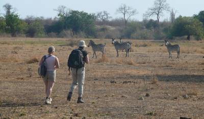 Zambia - Walking Safari with Batmigration in October — 4