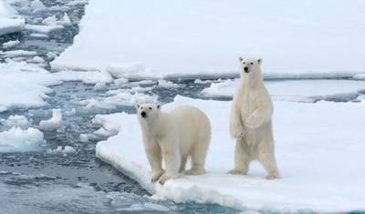 Spitsbergen Exclusive between pack ice & midnight sun — 2