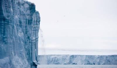 Spitsbergen Exclusive between pack ice & midnight sun — 3