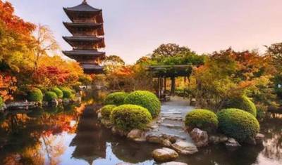 Tokio 5 dni: od sumo i tradycji po marzenia o Disneylandzie — 5