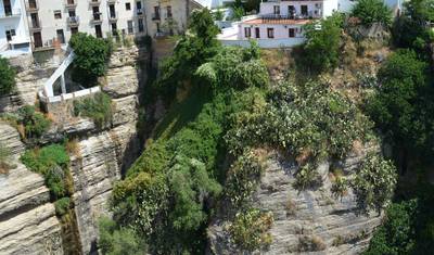 12-Day Andalucia, Mediterranean Coast & Green Spain — 3