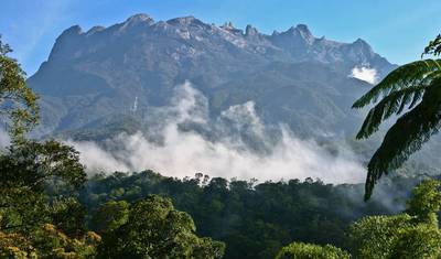 Borneo Sabah Wildlife Highlights — 4