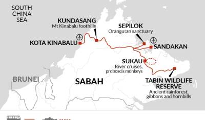 Destaques da Vida Selvagem de Sabah, Bornéu — 2