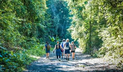 Customized 11 Days Costa Rica Private Guided Tour for Nature Lover, Daily Start — 2