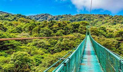 Customized 11 Days Costa Rica Private Guided Tour for Nature Lover, Daily Start — 5