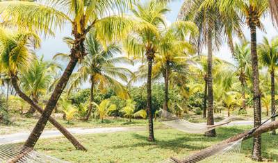 Dominican Republic Delights 7Days/6Nights — 4