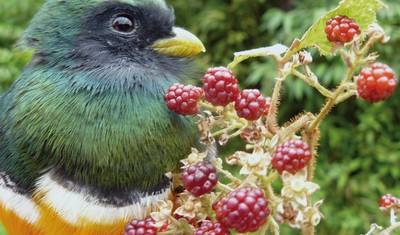 Panama - Nature, Tradition & Tropical Dreams — 5