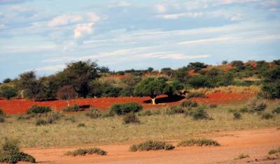 Namibia dla początkujących — 4