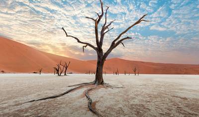 Namibia dla początkujących — 5