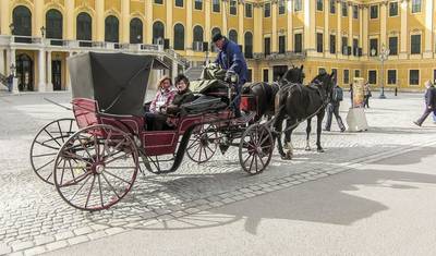 Austria in a Week (Best of Vienna, Salzburg and Innsbruck)- starting and ending in Vienna — 5