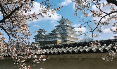 13-Day Cultural Voyage: Tokyo, Kyoto, and Hiroshima (Self-Guided) — 5
