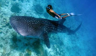 Wonders of Palawan :Puerto Princesa, Port Barton, El Nido & Coron — 4