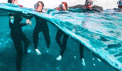 مستكشف Great Barrier Reef (تعلم الغوص) — 5