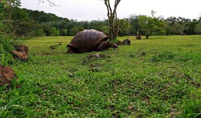 Najpopularniejsza 10-dniowa wycieczka po Ekwadorze i Wyspach Galapagos — 5