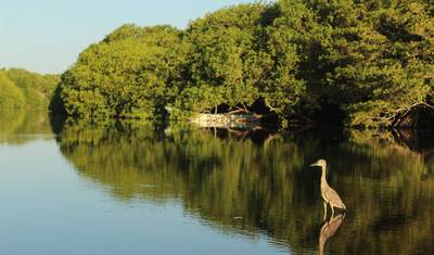 Route of the Maya — 4