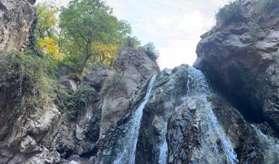 خلوة يوغا لمدة 8 أيام — 4