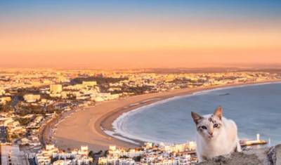 Excursão Privada de 4 Dias pelo Deserto de Marrakech a Agadir e Morocco Tous — 5