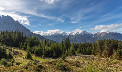 Alpine crossing from pasture to pasture 7 Days — 4