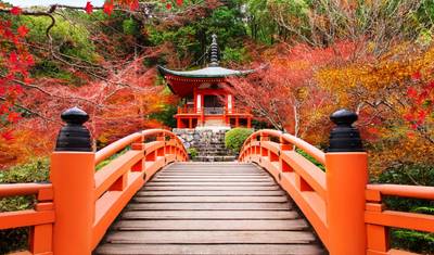 Japão Mágico e de Sonho — 5