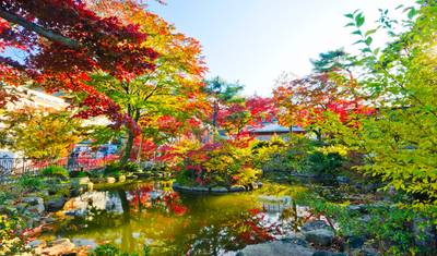 美しい韓国と日本の隠れた名所を巡る旅、札幌で終点 — 2