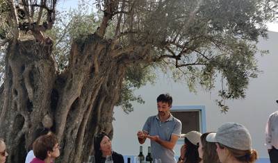 Viagem Exploradora de Portugal para Pequenos Grupos — 5