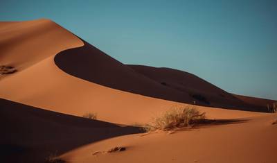 9 Day Jewish Heritage Morocco Tour Private Synagogue Visits — 5