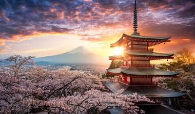 Discovering Kamakura and Mount Fuji — 3